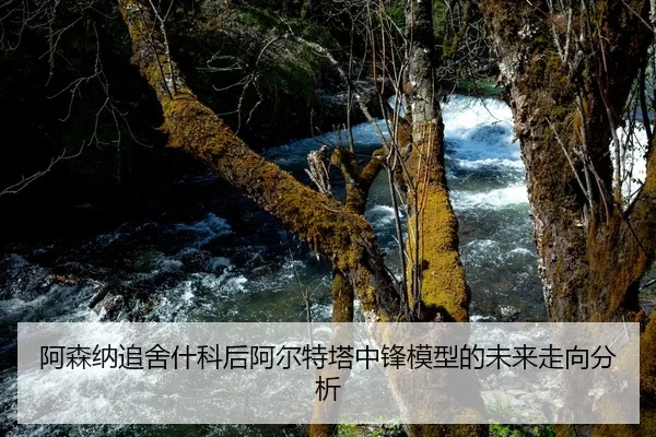 阿森纳追舍什科后阿尔特塔中锋模型的未来走向分析