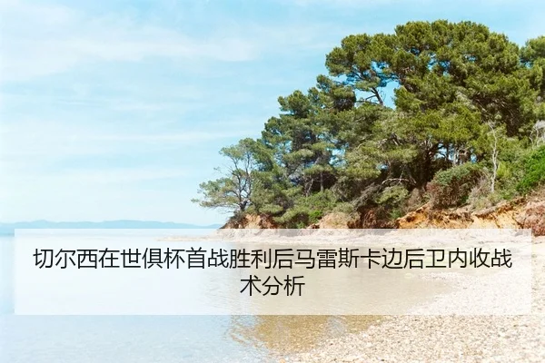 qie-er-xi-zai-shi-ju-bei-shou-zhan-sheng-li-hou-ma-lei-si-ka-bian-hou-wei-nei-shou-zhan-shu-fen-xi-2-186.jpg