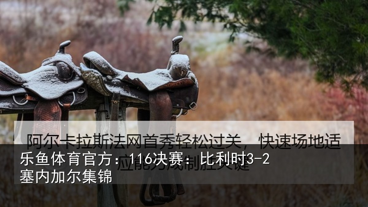 乐鱼体育官方:116决赛:比利时3-2塞内加尔集锦
