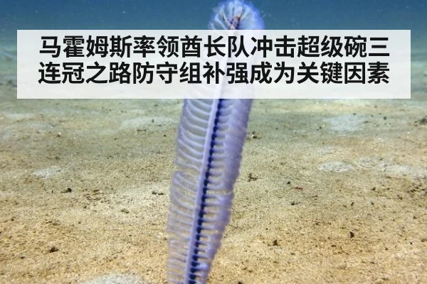 马霍姆斯率领酋长队冲击超级碗三连冠之路防守组补强成为关键因素